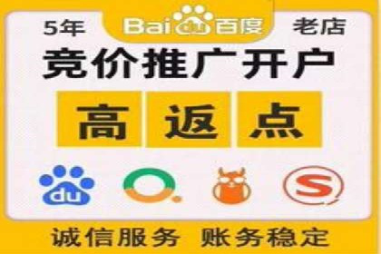 创新引领者：某信息流广告公司的技术突破案例